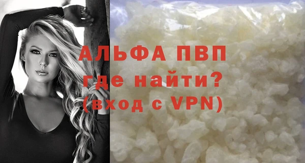 гидра Волгодонск