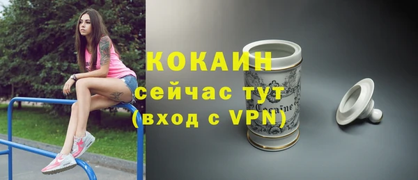 дживик Кинешма