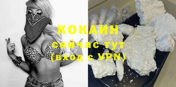 дживик Кинешма