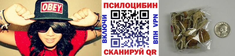 Галлюциногенные грибы Magic Shrooms  Мосальск 